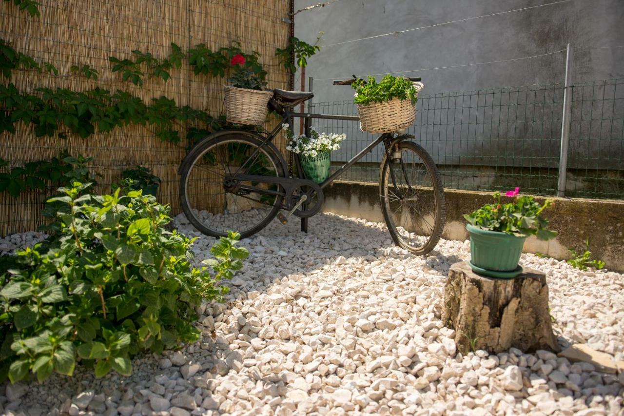 Villa Mia Sukošan 외부 사진